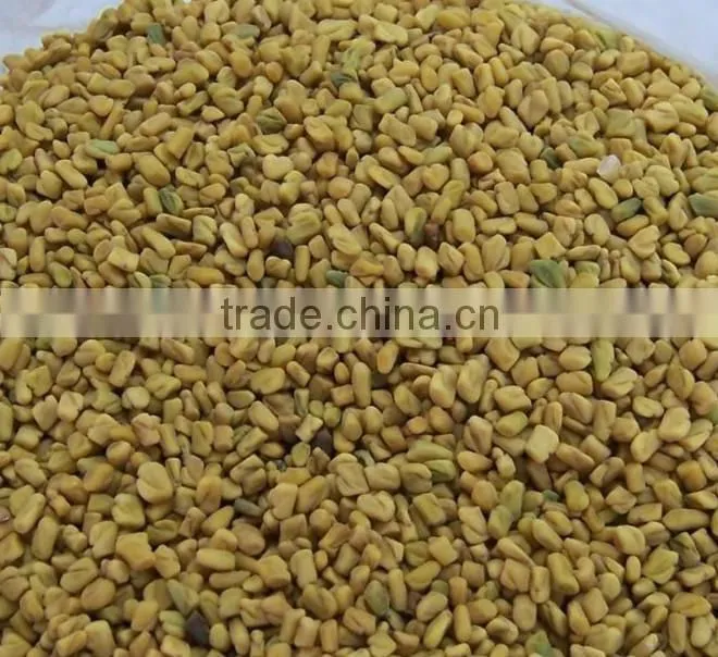 Fenugreek extract/4-Hydroxyisoleucine