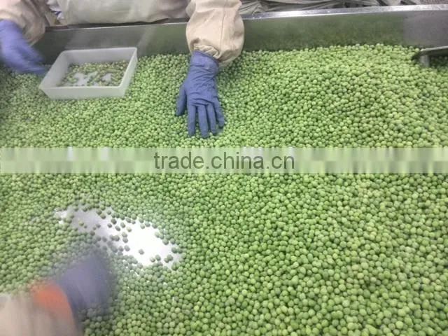Frozen Green Pea