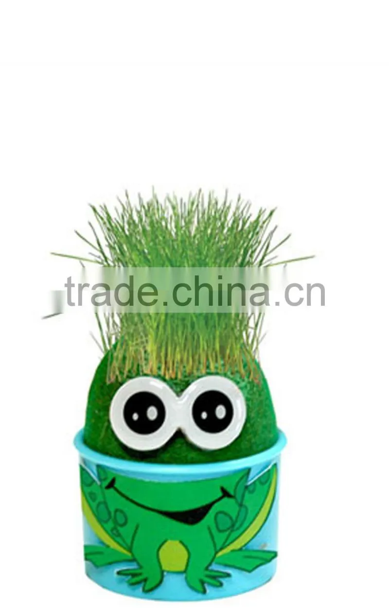 Grow-a-head Greetings
