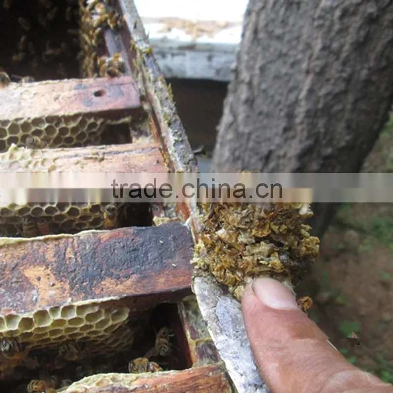 Pure extract bee propolis powder