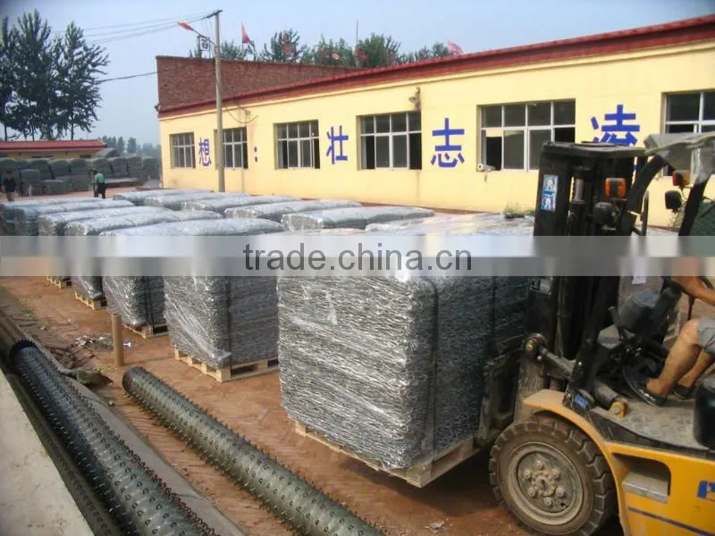 Hot Dipped Galvanized Gabion Baskets