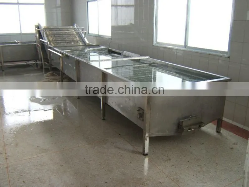 fruit and vegetable washing machine