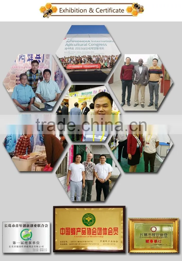 High Quality Foundation Cell Beeswax Base Sheet