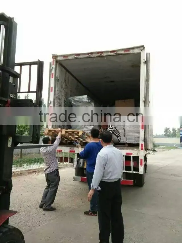 wholesale plastic chicken feeder