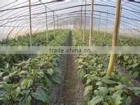 anti-uv agricultural plastic film