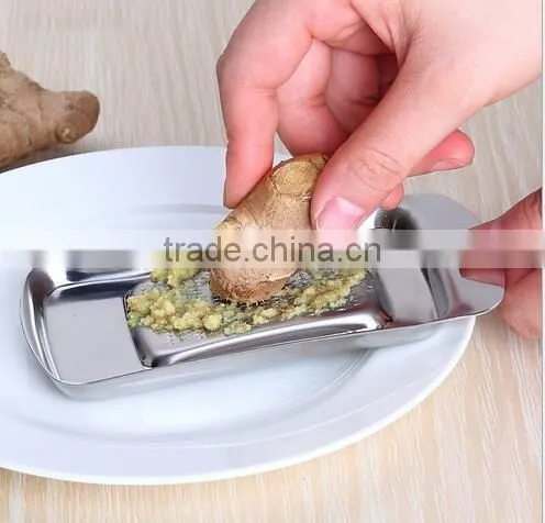 cy283 Mini Multifunction 2 Stainless Steel Blades Garlic Press Chopper Mincer