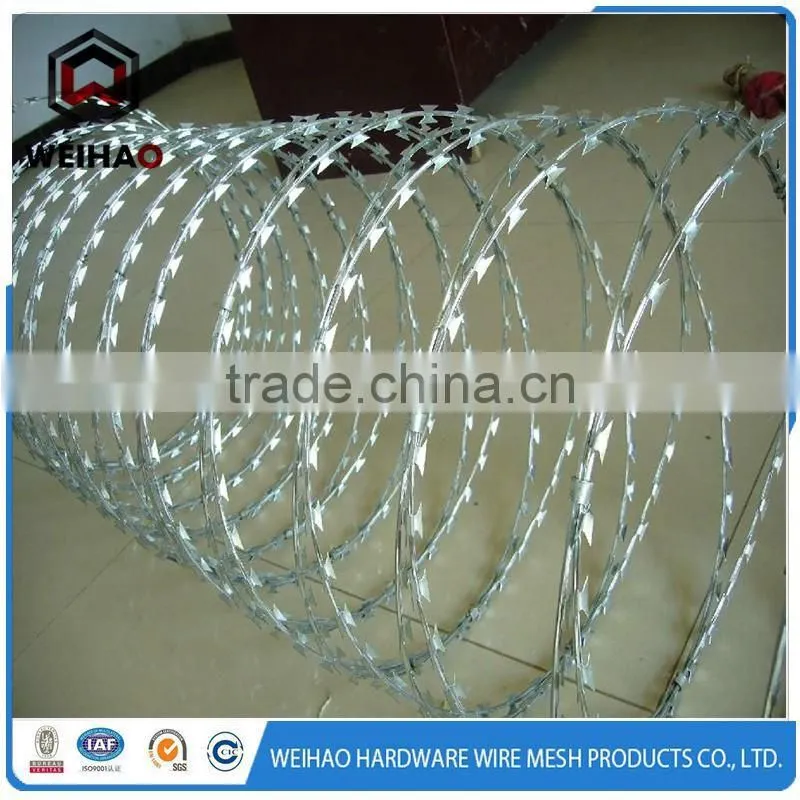 Factory Direct Electro Galvanized Iron Wire/Steel Wire