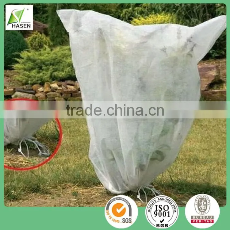 For protecting the plants China supplier Biodegradable Agriculture PP Protective Cover Film for protecting the plants