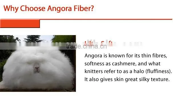 Angora Cold wool knee brace