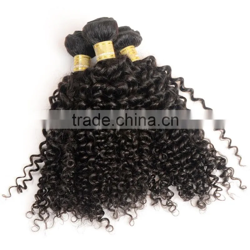 Fast Delivery Online Shop 100% Unprocessed Wholesale Tangle Free No Shedding Curly Raw Virgin Indian Hair