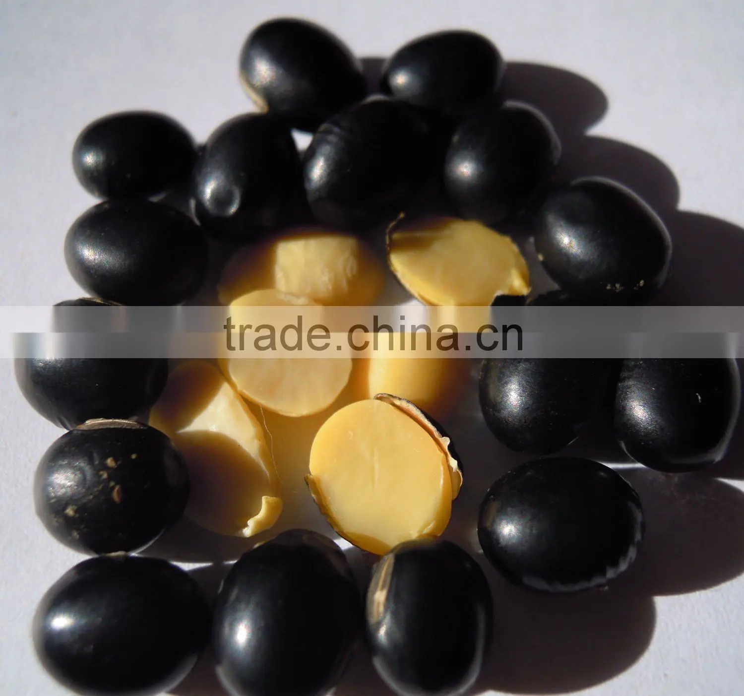 yellow soybean (organic type and non-gmo type)