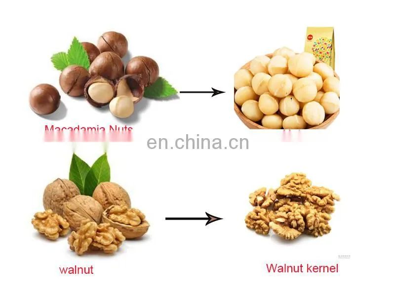 Low price macadamia dehusker nut roasting machine south africa machine