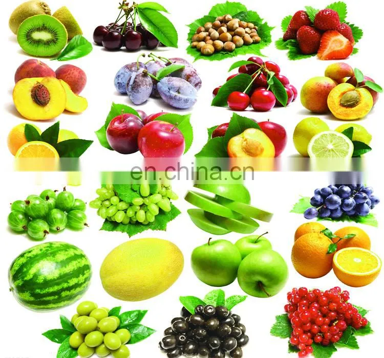 Electric Cherry Olive Palm Prune Date Peach Pitter Machine For Sale