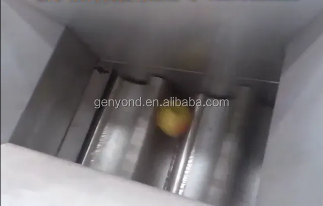 Pomegranate Seeds Peeling Machine/pomegranate Processing Machine