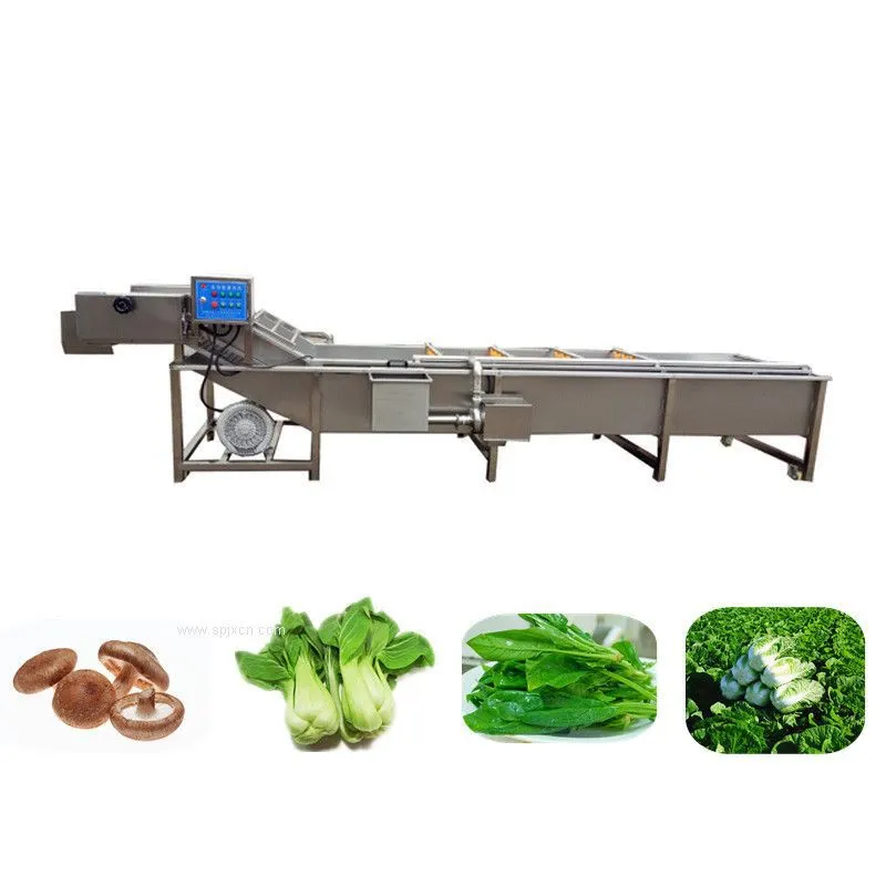 Food Washing Machine Vegetable Wash Line1