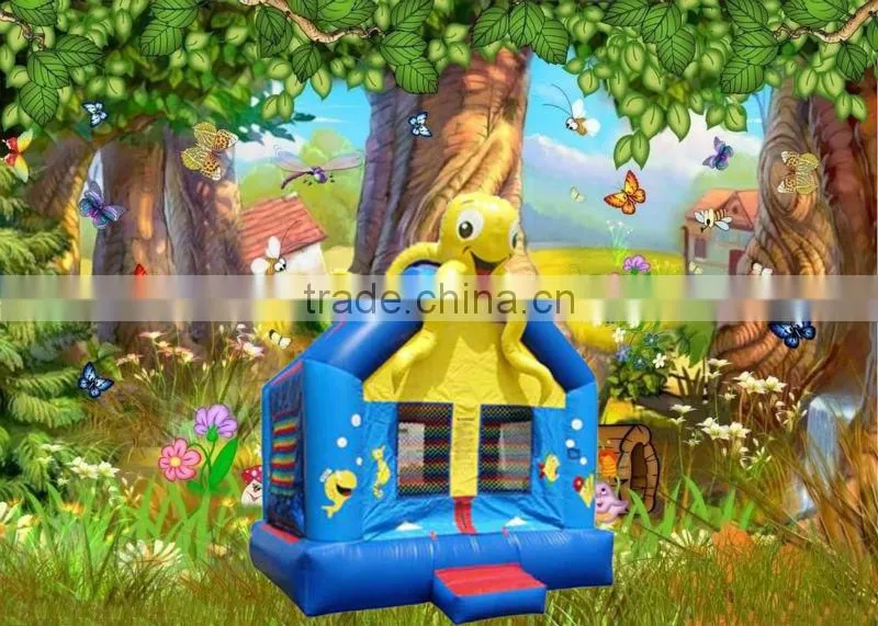 Inflatable bouncy castle/inflatable bouncy house