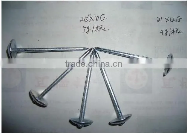 twisted umbrella head roofing nail factory