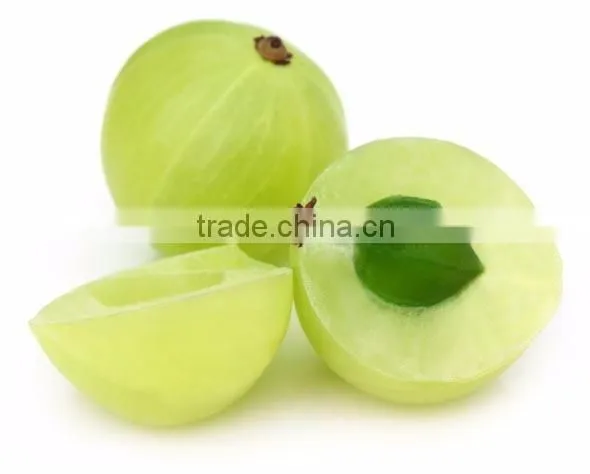 Superior Quality Amla powder Bulk Producers