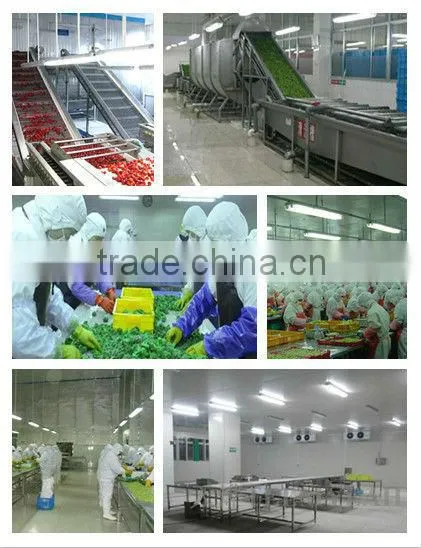 frozen vegetables frozen broccoli spears fresh broccoli