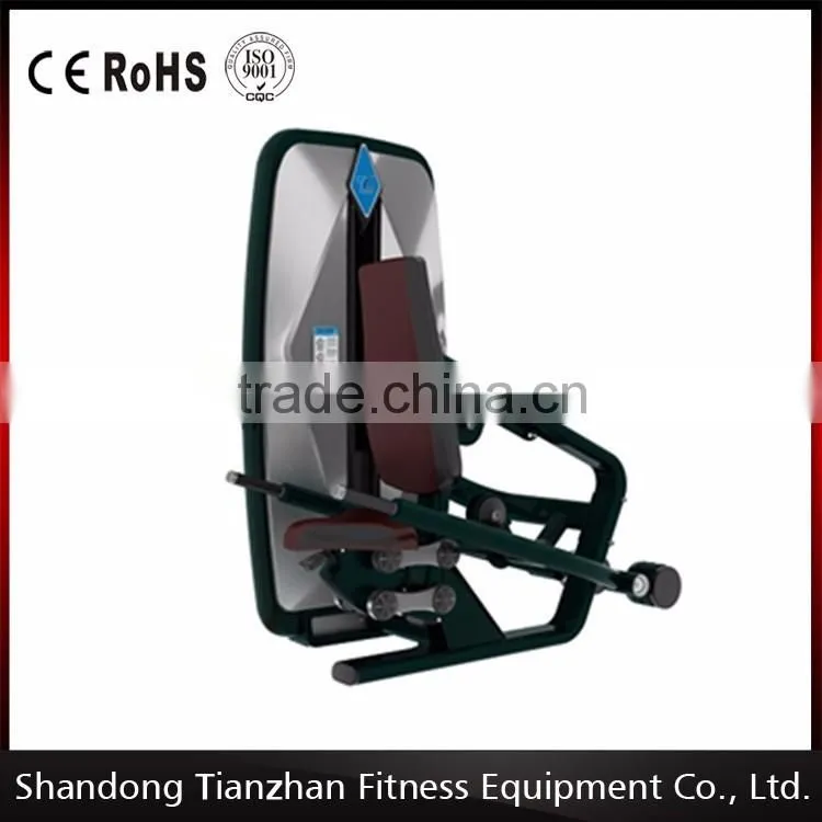 2016 New Design Triceps Dip Fitness Equipment For GYM USE From TZfitness