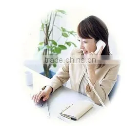 1Ply Printed Raschel Blanket/Korean Mink Blanket
