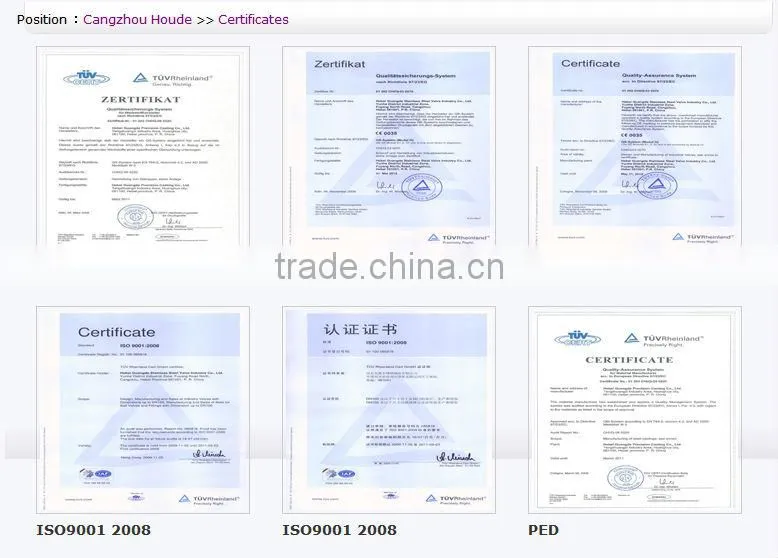 1000WOG Y-Strainer Manufacturer in China