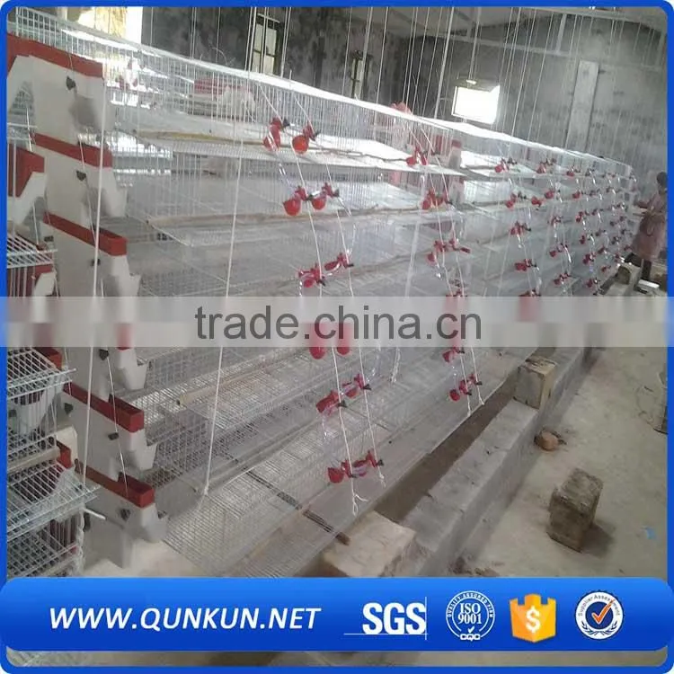 2016 new promotions trade assurance breeding quail cages for feeding system