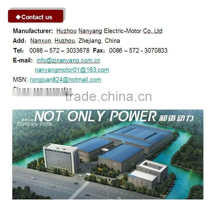 Huzhou lowest price Wet Grinder Motor