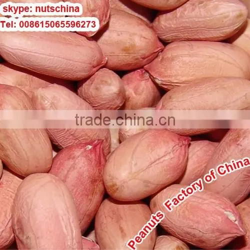 Blanched Peanuts 25/29 29/33 35/39 36/41 41/51 51/61