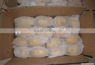 New crop dried potato with high quality