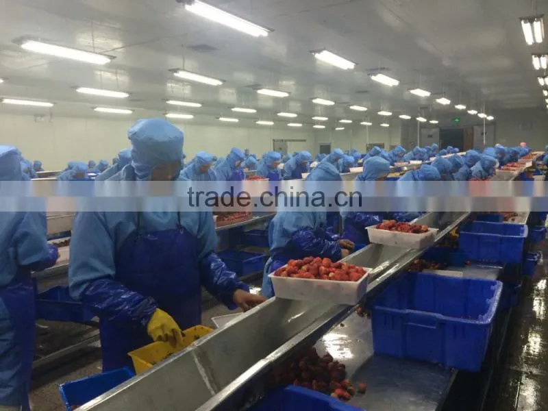 2015 New Crop IQF Strawberry