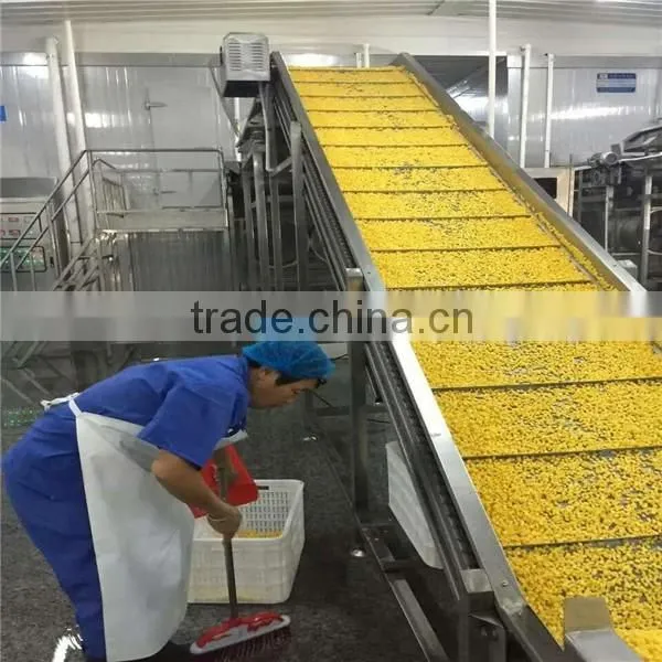 IQF Frozen Sweet Corn Whole Kernels