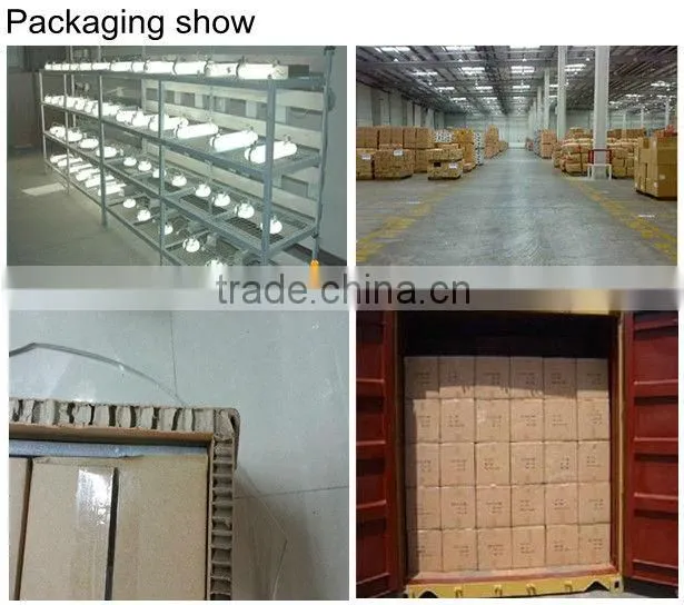 300w magnetic induction lamps