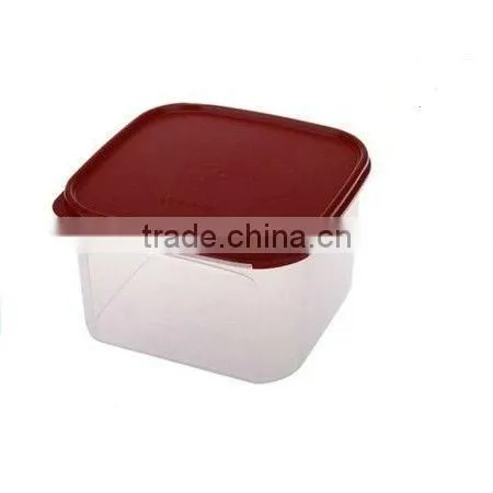 Fresh Container mould