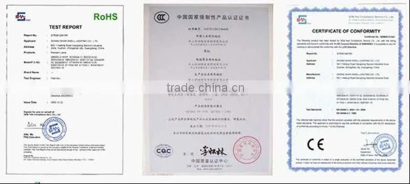 220v Globe fluorescent light bulb