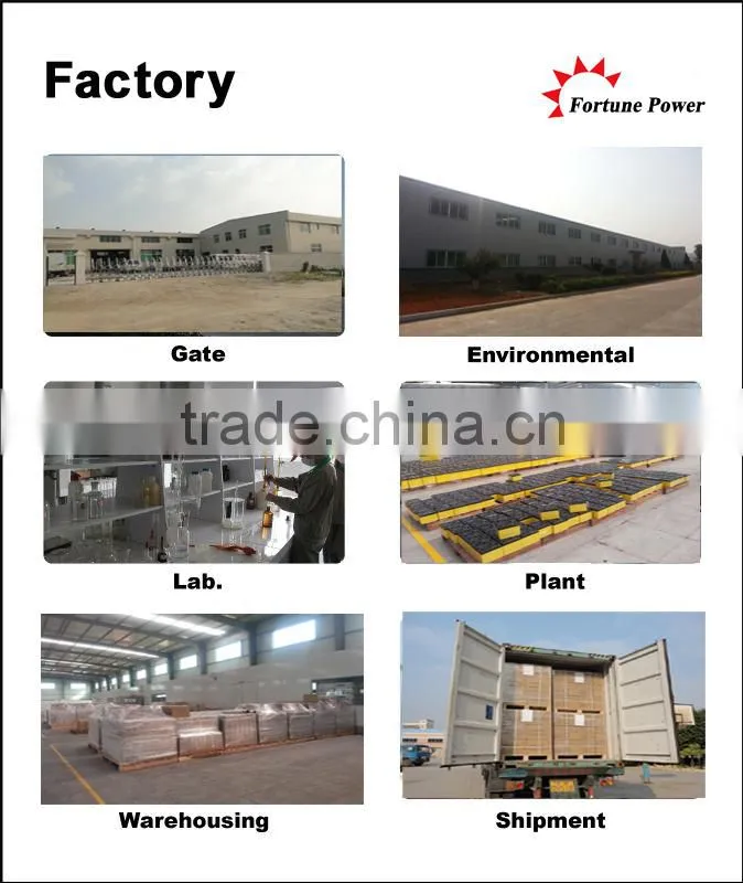All kinds of dry batteries 12v 200ah battery for security alarm system