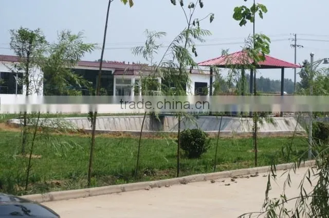 competitive price Donglian 2mm metal co2 tube laser cutting machine for leather