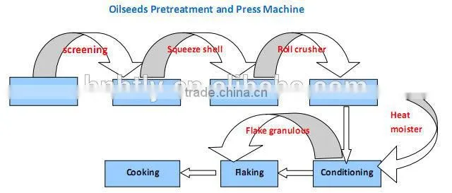 peanut/ soybean/ sunflower seed oil extraction machine