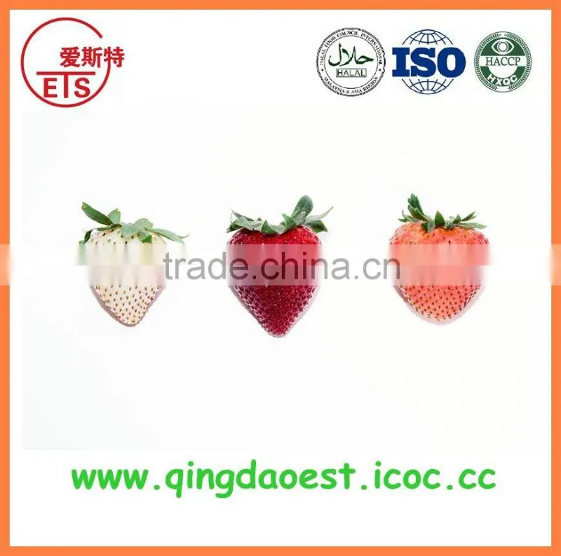 YanTai new season fresh sweet fuji apple