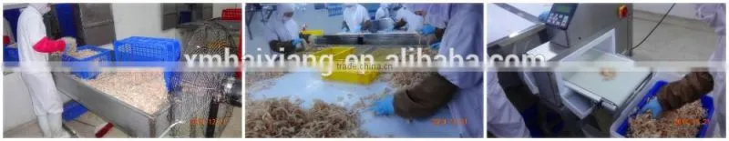 Bulk seasoned dried squid for sale