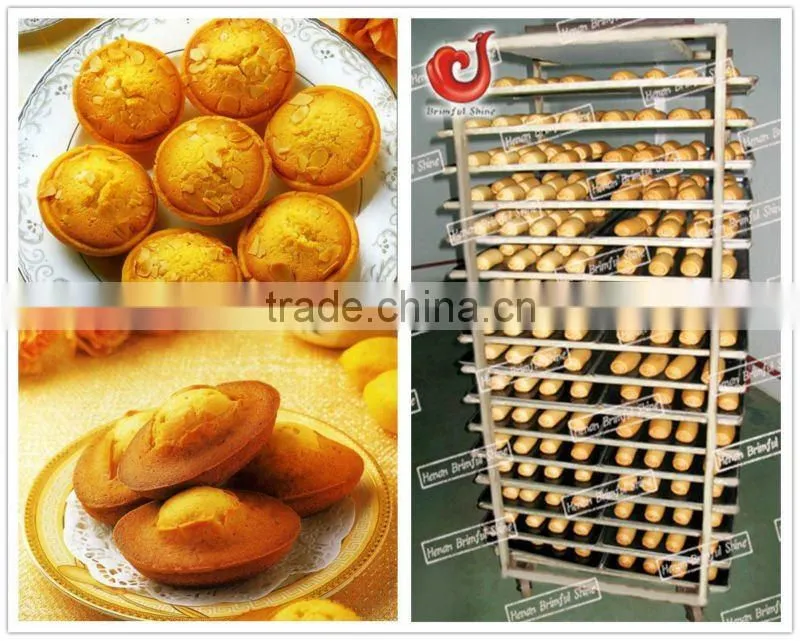 Rotary Rack Oven & piza oven