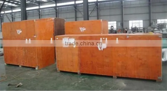 2016 Hot sale maize meal packaging machine