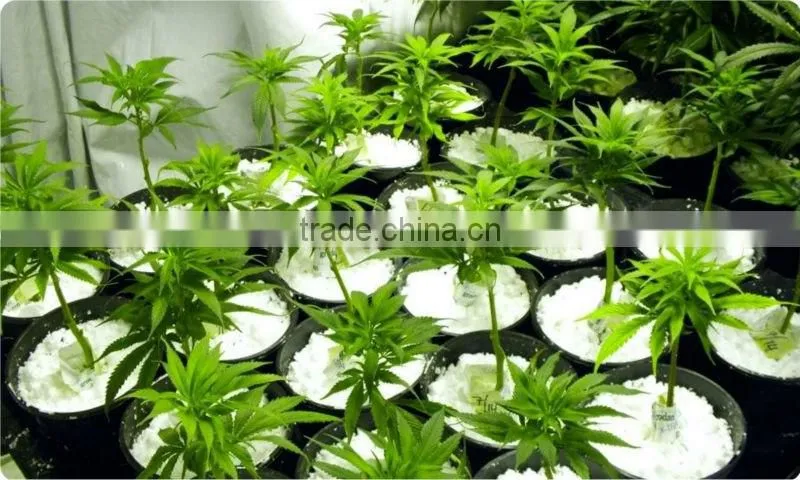 Soil additive perlite for house plants and garden
