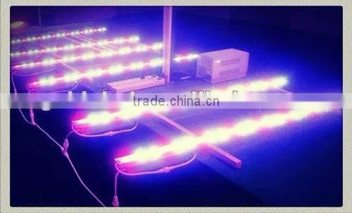 Strongest Penetration LED Grow Light
