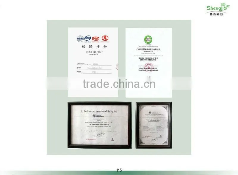 SJ 2013 hot sale high quality artificial plant walls