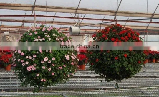 Plastic Flower Hanging Ball Planter, Vertical Garden