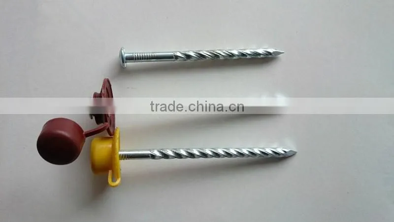 galvanized roof screw nail with plastic cap