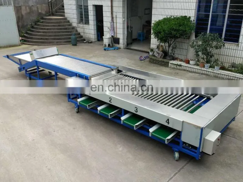 size fruit sorting machine by fruit diameter / small size high speed fruit grading machine