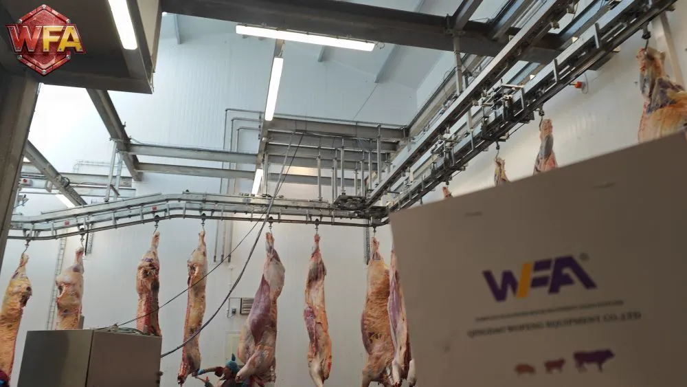 On-Site Installation Completed for Ireland Cattle Slaughterhouse Project