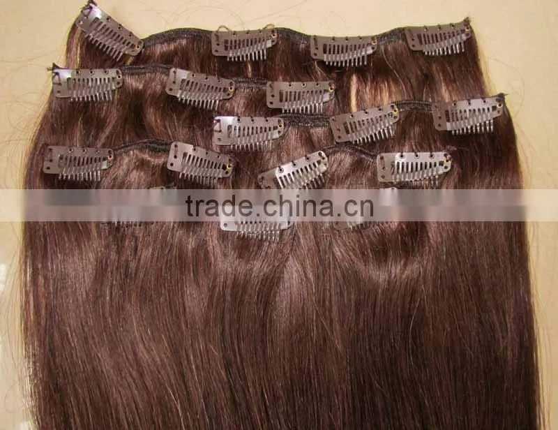 European 100% remy clip in human hair